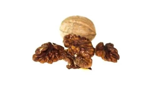 Walnut on a white background. Stock Photos