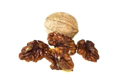 Walnut on a white background. Stock Photos