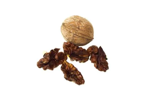 Walnut on a white background. Stock Photos