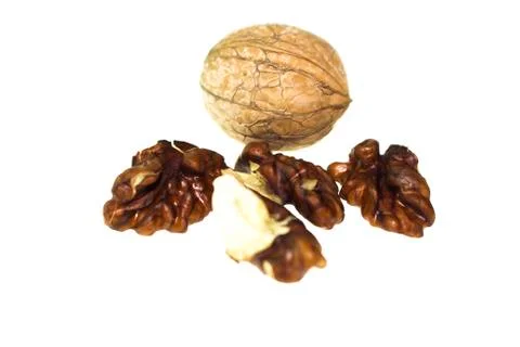 Walnut on a white background. Stock Photos