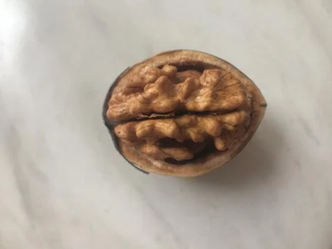 A walnut on white background Stock Photos