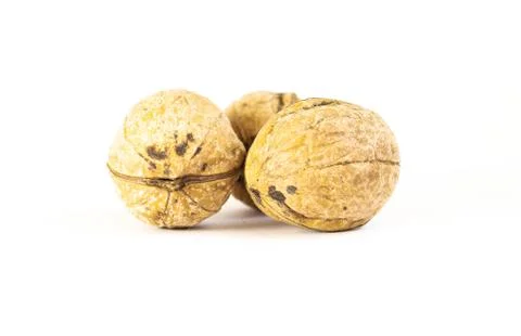 Walnut on a white background Stock Photos