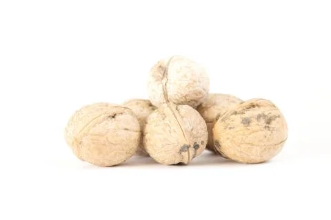 Walnut on a white background Stock Photos
