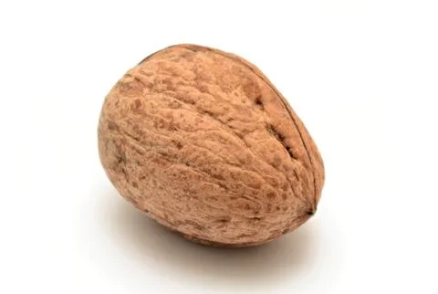 Walnut on white background 스톡 사진