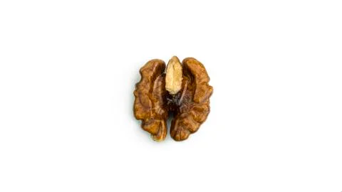 Walnut on a white background. Stock Photos