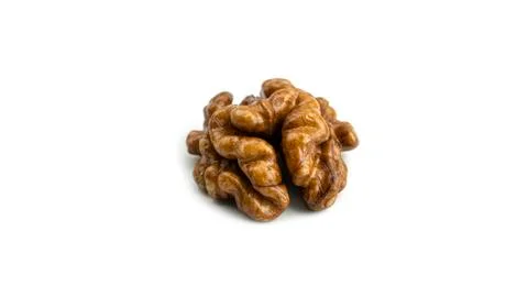 Walnut on a white background. Stock Photos