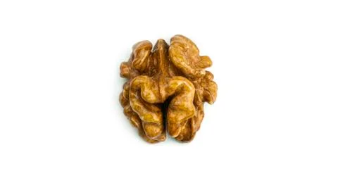 Walnut on a white background. Stock Photos