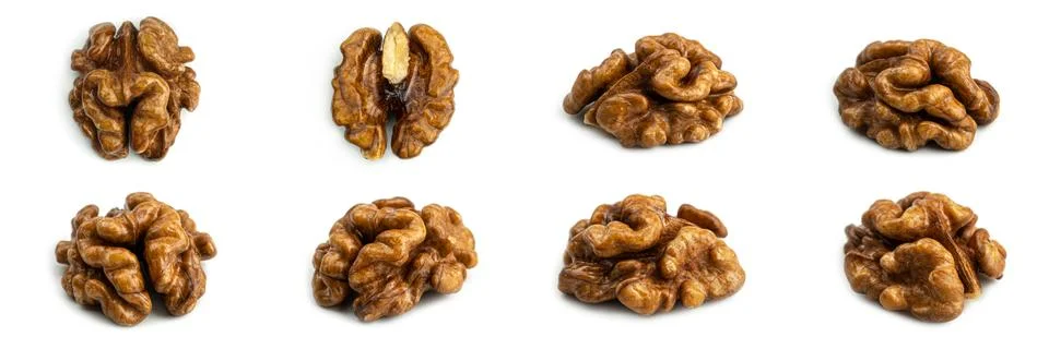 Walnut on a white background. Stock Photos