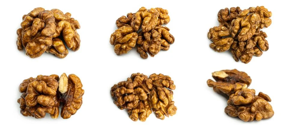 Walnut on a white background. Stock Photos