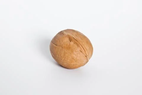 Walnut on a white background. Stock Photos