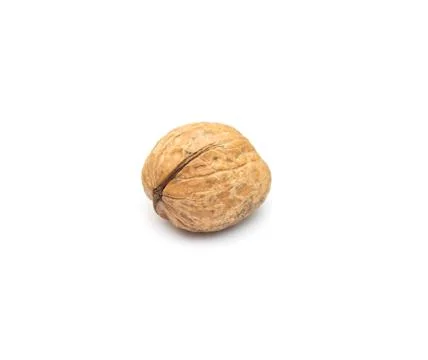 Walnut on a white background Stock Photos
