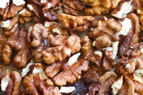 Walnut on a white background Stock Photos