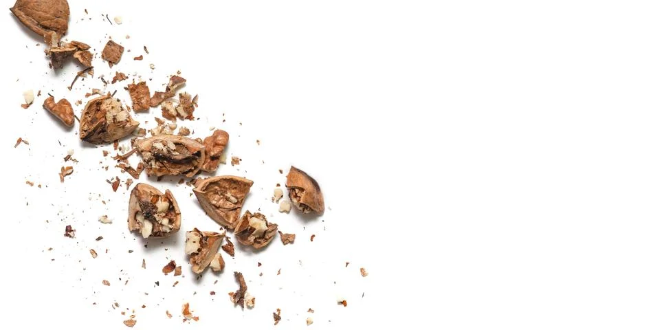 Walnut white background Stock Photos