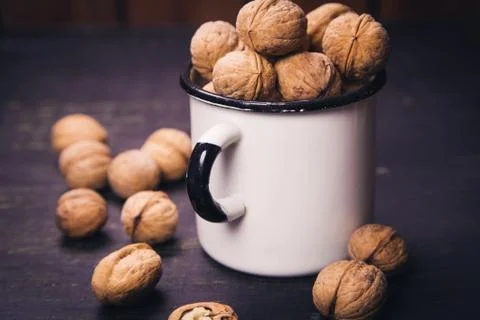 Walnut with white cup Stock Photos