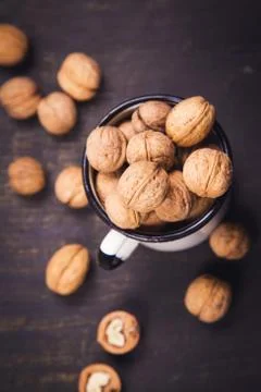 Walnut with white cup Stock Photos