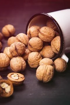 Walnut with white cup Stock Photos