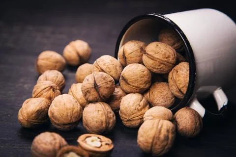Walnut with white cup Stock Photos