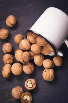 Walnut with white cup Stock Photos