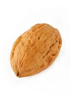 Walnut on white Stock Photos