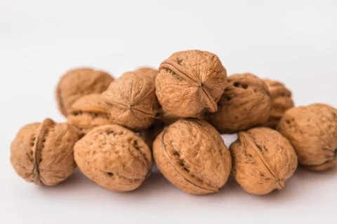 Walnut on white Stock Photos