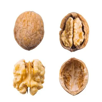Walnut whole, opened, half, kernel and shell on a white background. Top view Stock Photos