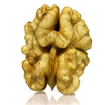 Walnut without shell, lots of detail, white background, macro photo Stock Photos