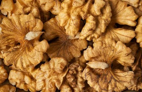Walnuts abstract background Stock Photos