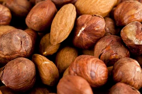 Walnuts and almonds Stock Photos