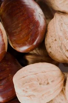 Walnuts and chestnuts close up Stock Photos