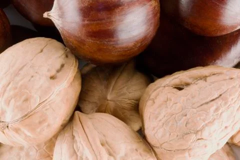 Walnuts and chestnuts close up Stock Photos
