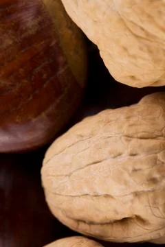 Walnuts and chestnuts close up Stock Photos