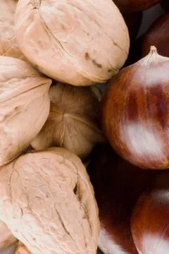Walnuts and chestnuts close up Stock Photos