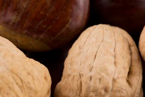 Walnuts and chestnuts close up Stock Photos
