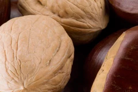 Walnuts and chestnuts close up Stock Photos