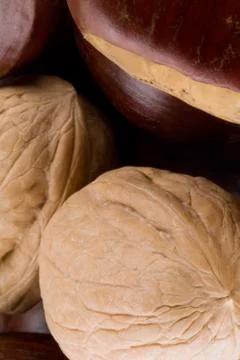 Walnuts and chestnuts close up Stock Photos