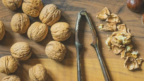 Walnuts and Chestnuts  Stock Footage 125380980