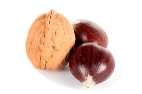 Walnuts and chestnuts Stock Photos