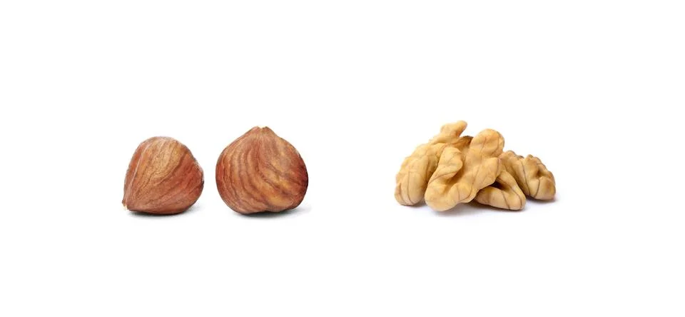 Walnuts and hazelnut Фото