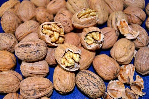 Walnuts and hazelnuts Stock Photos