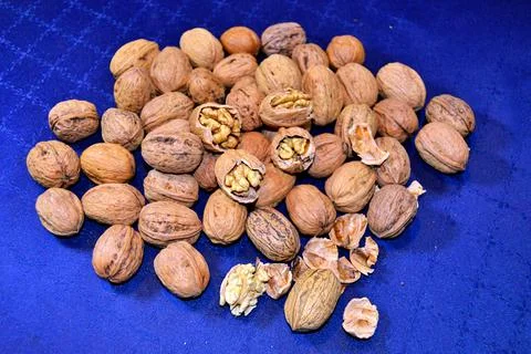 Walnuts and hazelnuts Stock Photos