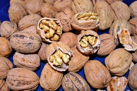 Walnuts and hazelnuts Stock Photos