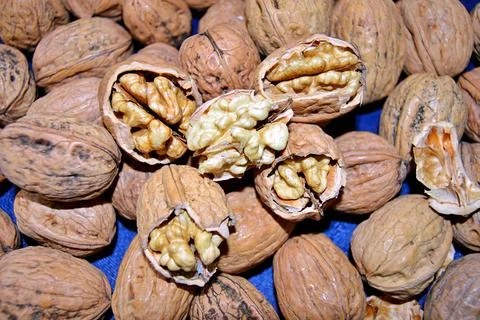 Walnuts and hazelnuts Stock Photos