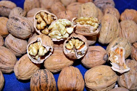 Walnuts and hazelnuts Stock Photos
