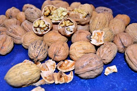 Walnuts and hazelnuts Stock Photos