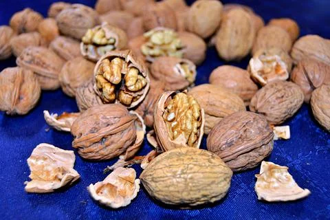 Walnuts and hazelnuts Stock Photos