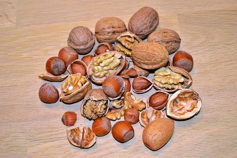 Walnuts and hazelnuts Stock Photos