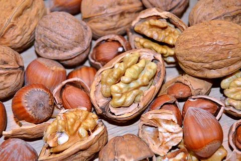 Walnuts and hazelnuts Stock Photos