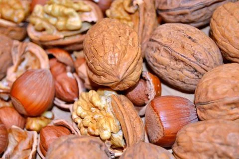 Walnuts and hazelnuts Stock Photos