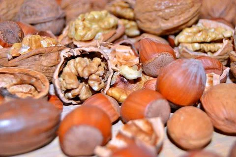 Walnuts and hazelnuts Stock Photos