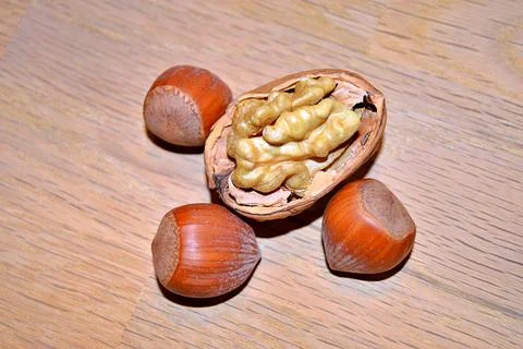 Walnuts and hazelnuts Stock Photos